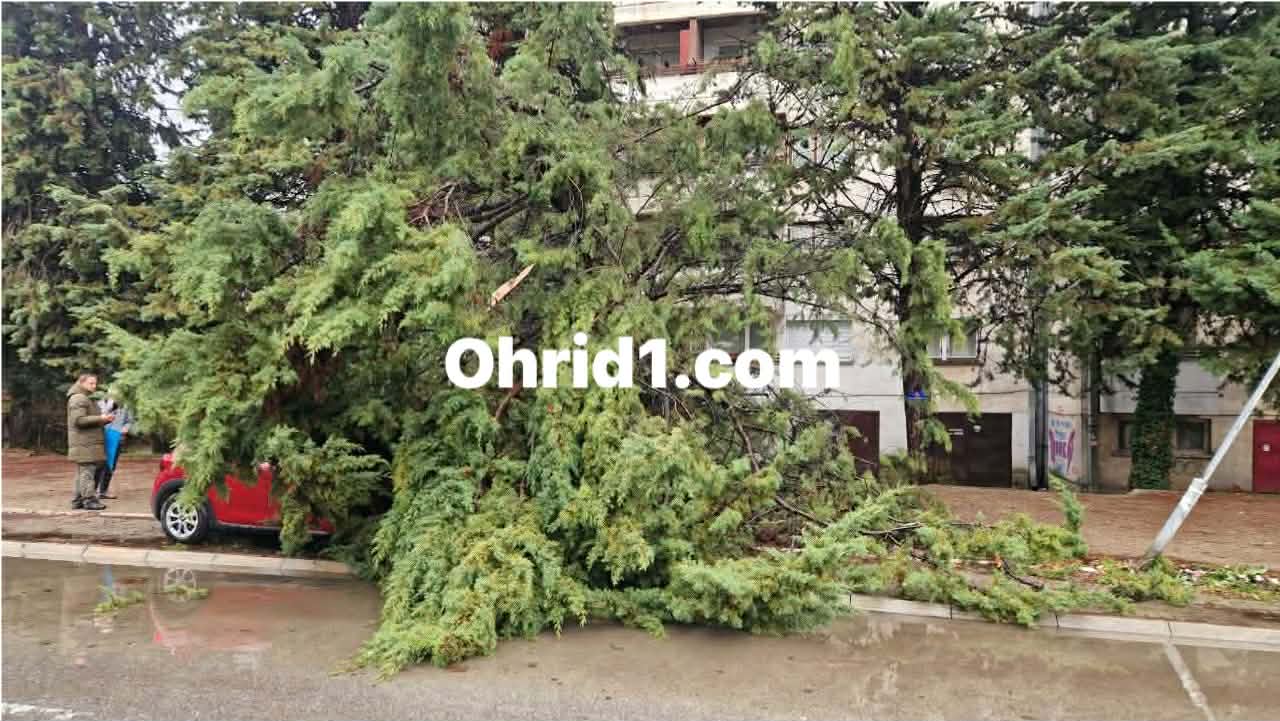 (ВИДЕО) Силен дожд предизвика штети во Охрид